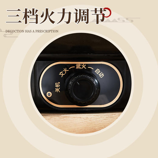 【全自动中药电煎壶】家用一体煎药中医砂锅 养生壶熬药煲专用炖煮药罐 商品图2