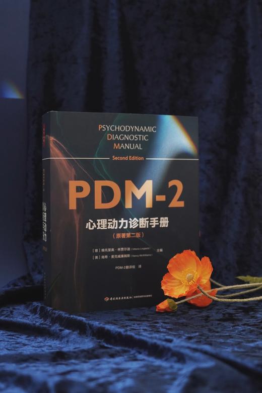 万千心理·心理动力诊断手册（原著第二版）首刷赠送【诊断分类索引桌垫】 商品图4