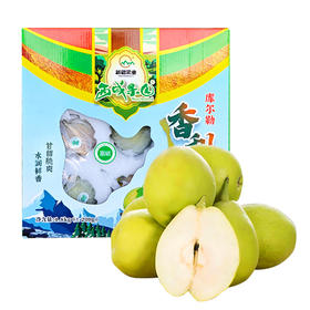 西域果园·新疆库尔勒香梨 香梨王 特大果1.8kg礼盒装   产地直发