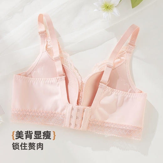 ALDOLA/雅黛俪蕾丝内衣女聚拢小胸显大调整型文胸性感胸罩2025新 商品图8