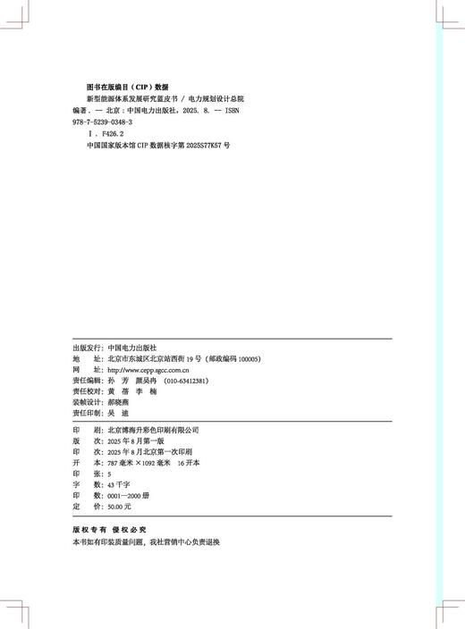 新型能源体系发展研究蓝皮书 商品图3