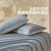 水星家纺A类抗静电牛奶绒对枕套暖绒枕头套一对装双人保暖床品 商品缩略图3