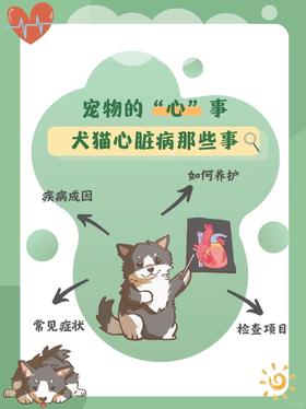 宠物的这些心事你都知道吗