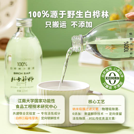 北方神桦 白桦树汁100%原液野生桦树汁水原汁植物饮料 【325ml*4瓶】1箱 商品图6