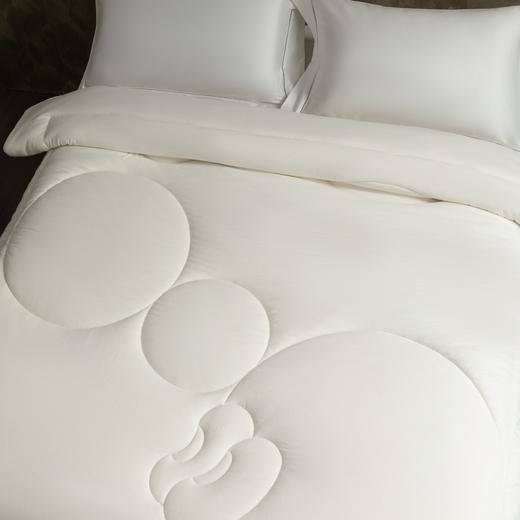 10楼堂皇     绵芙大豆纤维春秋被-白色200x230cm胎重1100g   吊牌价550元      活动价99元 商品图4