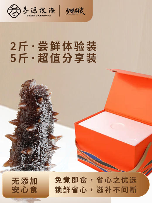 （海参）参味鲜食（2-5斤装）【GY】 商品图3