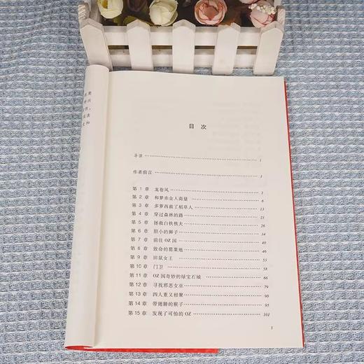 绿野仙踪（《语文》阅读丛书）人民文学出版 社弗兰克·鲍姆 著 张晓璐 译 商品图4