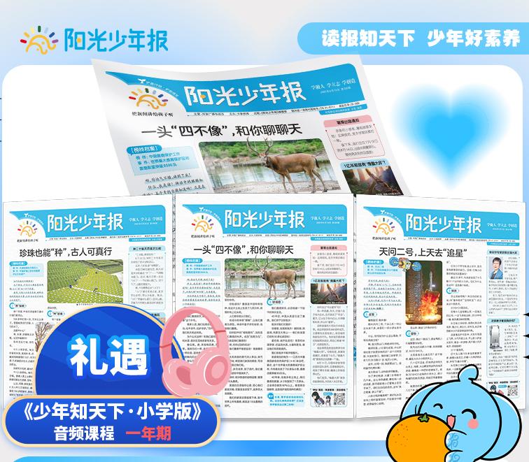阳光少年报 中国少年时事素养报  小学生新闻故事报 （图23为出刊表。每周一期，寒暑假休刊🔔详见出刊表）【悦刊图书】
