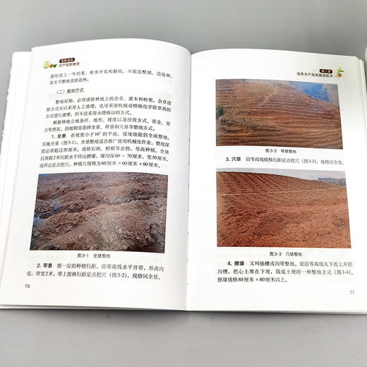 图解油茶丰产高效栽培【官方正版，可开发票】 商品图2
