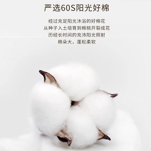 10楼堂皇   全棉超柔四件套--童趣精灵 200*230cm   吊牌价1990元  活动价399元 商品图4