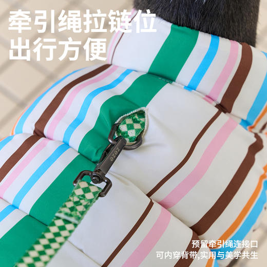 zeze条纹宠物保暖夹克-B（包邮） 商品图4