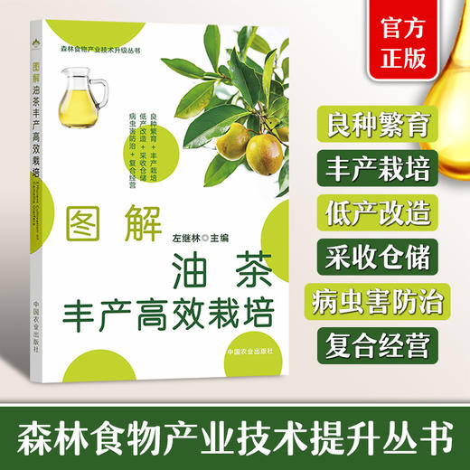 图解油茶丰产高效栽培【官方正版，可开发票】 商品图0