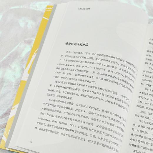 心流与积极心理学 心流之父米哈伊契克森米哈伊作品集心流*体验心理学心流理论开创者米哈里契克森米哈赖积极心理学书籍 商品图2