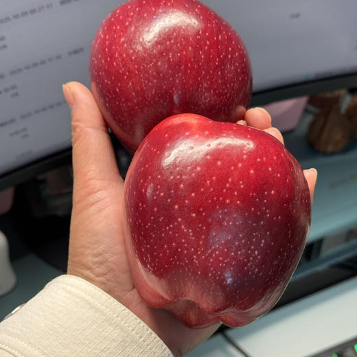 天水花牛苹果 商品图1