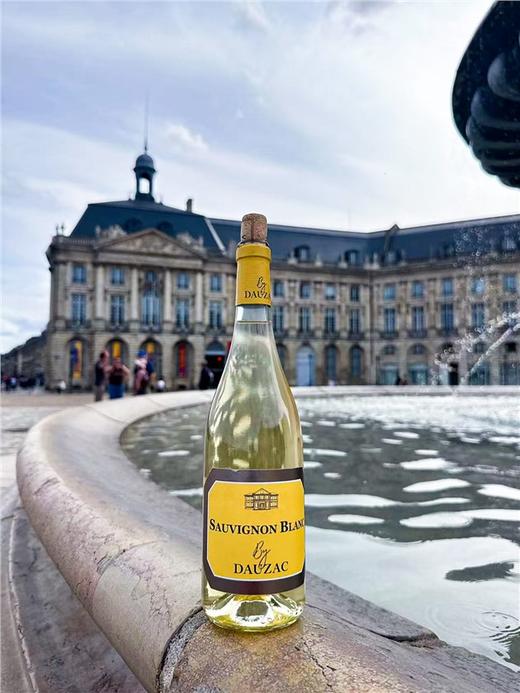 杜扎克 IGP(宝满) 干白葡萄酒六支装750ml*支 商品图3