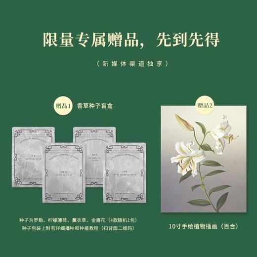 《DK草药大百科》从全球视野出发，看见传统之外的本草新知-分销 商品图6