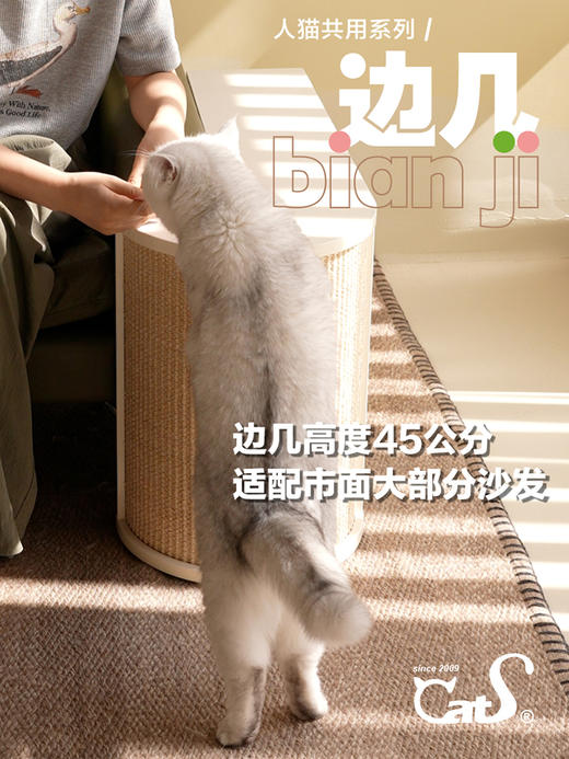 CatS沙发边几猫抓柱 人猫共用茶几剑麻柱抓柱储物保护沙发防猫抓 商品图3