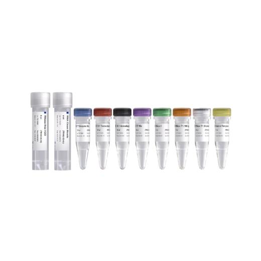 T7 RNAi Transcription Kit 商品图1