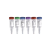 Mut Express II Fast Mutagenesis Kit V2 商品缩略图0