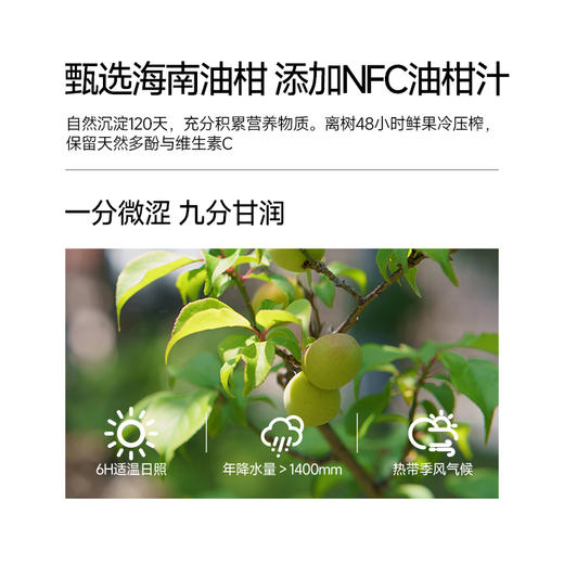 ⁵59元/8瓶【每日博士油柑纤维饮】一瓶相当于73颗油柑+6重益生元+白芸豆 240ml一瓶YY05-QTT-SA 商品图3