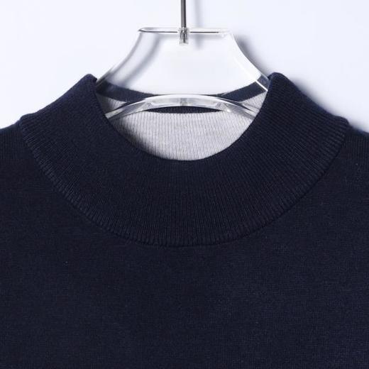 2571015SDSA男士秋冬新款痞帅男装潮牌简约纯色圆领针织衫毛衣百搭休闲 商品图2