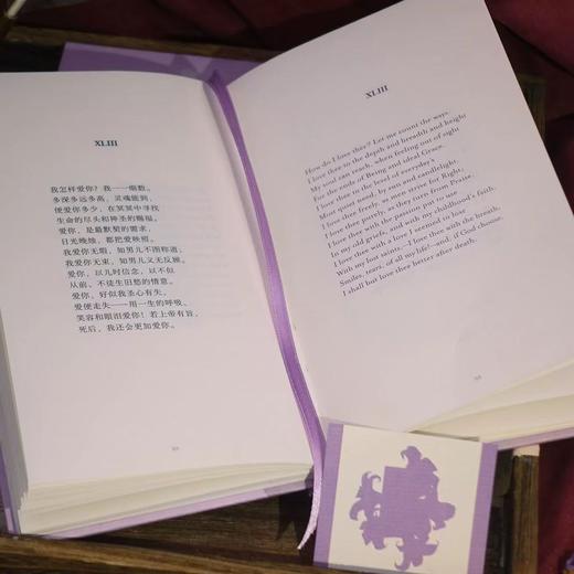 【附赠藏书票】是爱唤醒了爱 勃朗宁夫人十四行诗插图珍藏版 情感艺术经典诗歌外国文学 后浪正版 商品图1