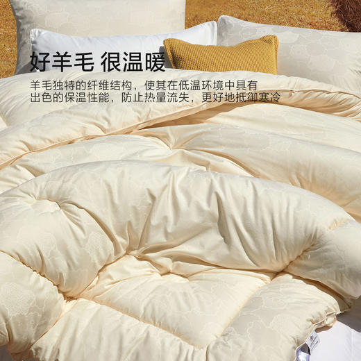 水星家纺 阳光卷毛澳洲进口羊毛加厚冬被春秋被保暖抗菌被芯被子 商品图2