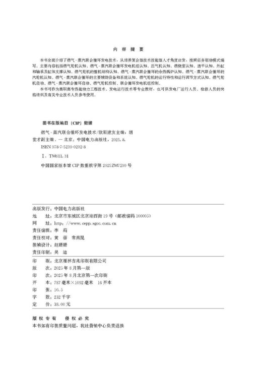 燃气-蒸汽联合循环发电技术 商品图3