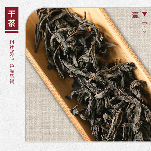 【山纯限品】2025年030状元岭老枞水仙17g 商品图2