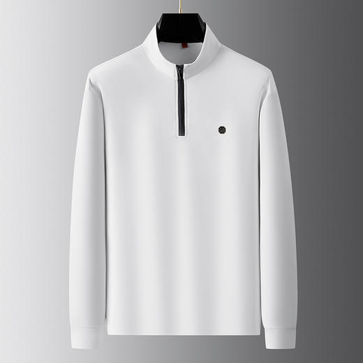 【棉质】【DWP】大依优型大码男装立领半拉链长袖卫衣秋季时尚休闲商务百搭含棉加肥加大 商品图1