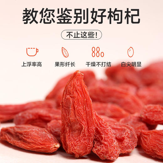 红手提枸杞 商品图2