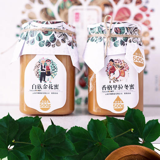 蜂蜜礼盒（白族金花蜜500g+香格里拉冬蜜500g+1勺子+1手提袋） 商品图1
