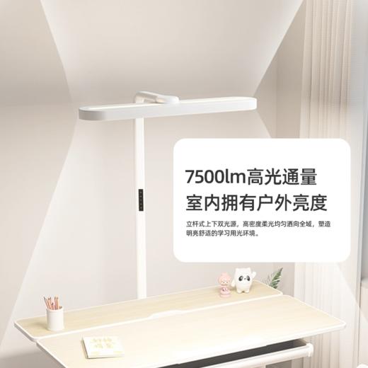 【目瞳】MT-H05瞳光 小路灯 商品图1