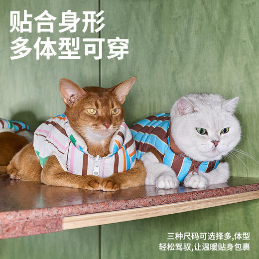 zeze条纹宠物保暖夹克-B（包邮） 商品图5