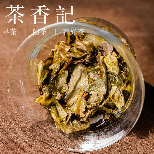 茶香记南迫森林古树生普024冰岛五寨醇厚甘甜生态好茶宜藏宜喝 商品图3