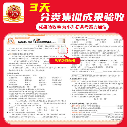 2026小升初各地真题精编卷真题分类集训语数英各地通用 商品图4