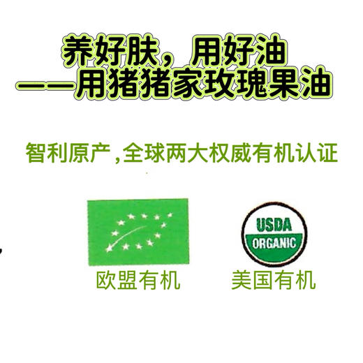 【送一盒五片玫瑰花萃面膜】智利原产欧盟有机美国有机的玫瑰果油 30ml纯玫瑰果籽油  橙红色 用好油养好肤 无防腐 以油养肤干皮救星面部身体头发 百搭 商品图4