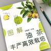 图解油茶丰产高效栽培【官方正版，可开发票】 商品缩略图1
