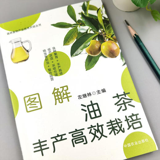 图解油茶丰产高效栽培【官方正版，可开发票】 商品图1