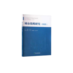 城市战略研究  (2025)