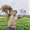 010小籽花生| Peanut 两籽精品 2025年新货 2亩地精选210斤 湖南杨林老品种小籽花生 富硒 口感香甜细腻 商品缩略图2