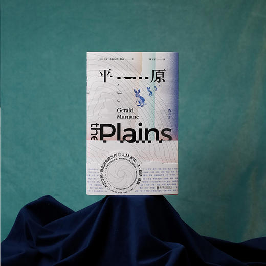 平原 诺贝尔文学奖热门候选者小说代表作，J.M.库切、本·勒纳盛赞！一位电影制作人来到澳大利亚的“里世界”平原，探索繁华环绕中的荒芜地……大洋洲内陆的简版《城堡》，嗅觉缺失的怪癖作家的通感世界 商品图2
