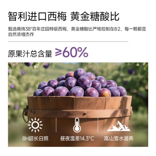 ⁵59元8瓶【西梅益生元纤维饮】5种益生元 240ml一瓶 YY05-QTT-SA 商品图3