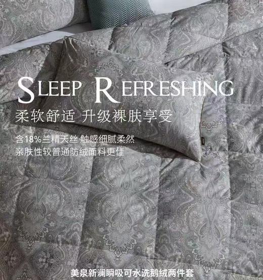 【云粉节】10楼 宜庭  美泉新澜瞬吸鹅绒两件套  吊牌价9800~13800元  活动价2999~3999元 商品图2