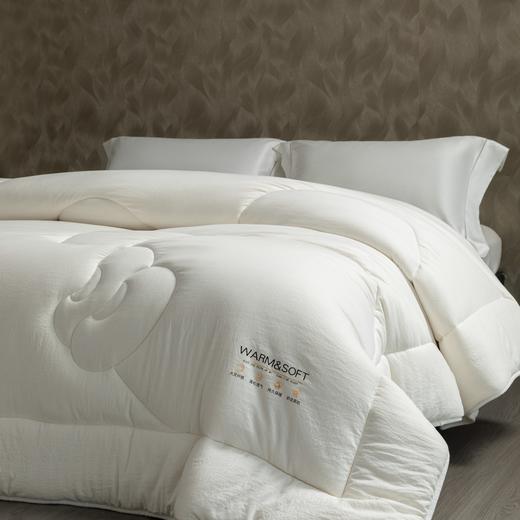 10楼堂皇     绵芙大豆纤维春秋被-白色200x230cm胎重1100g   吊牌价550元      活动价99元 商品图1