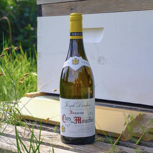 媲美特级园水准！约瑟夫杜鲁安伯恩一级园蜜蜂园干白 Joseph Drouhin Beaune 1er Cru Clos des Mouches Blanc 2020 商品图2