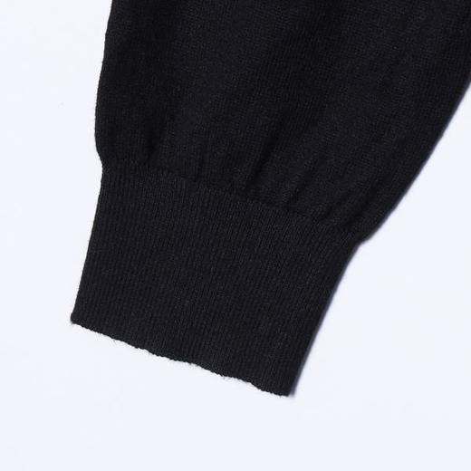 2571015SDSA男士秋冬新款痞帅男装潮牌简约纯色圆领针织衫毛衣百搭休闲 商品图3