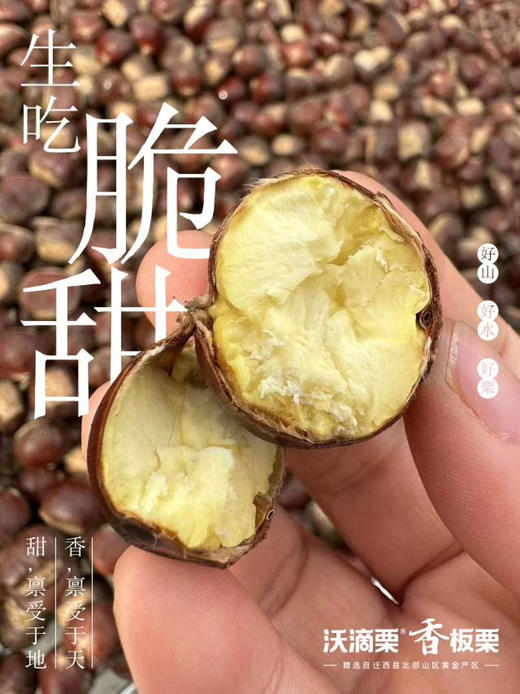 Mg基地📦核心产区迁西板栗（生熟两吃）🌰礼盒 商品图1