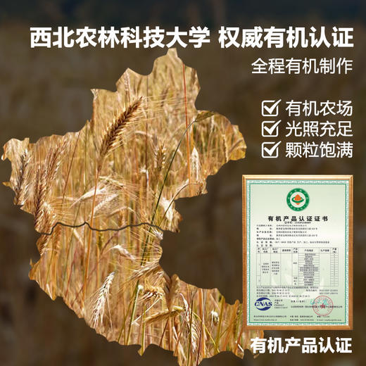 【有机黑麦苦荞麦面挂面/青稞苦荞挂面】无盐碱 无白面粉 虢一坊 多款可选AA 商品图1