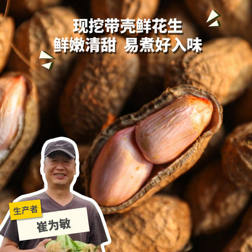 生态洛阳鲜花生（带壳） | 合作生产* cological Fresh Peanuts | Partner Production 商品图0
